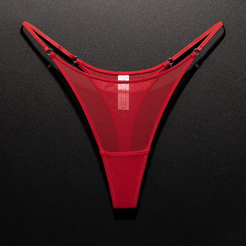 エロ下着 シースルーメッシュ ハイレグＴバックショーツ